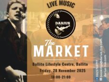 {{brizy_dc_image_alt entityId=