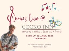 Darius Live at Gecko Inn