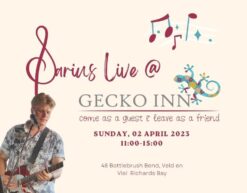 Darius Live at Gecko Inn